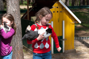 streichelzoo111-300x200