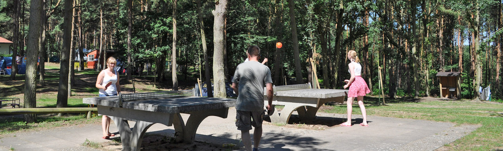 tischtennis1-1024x307